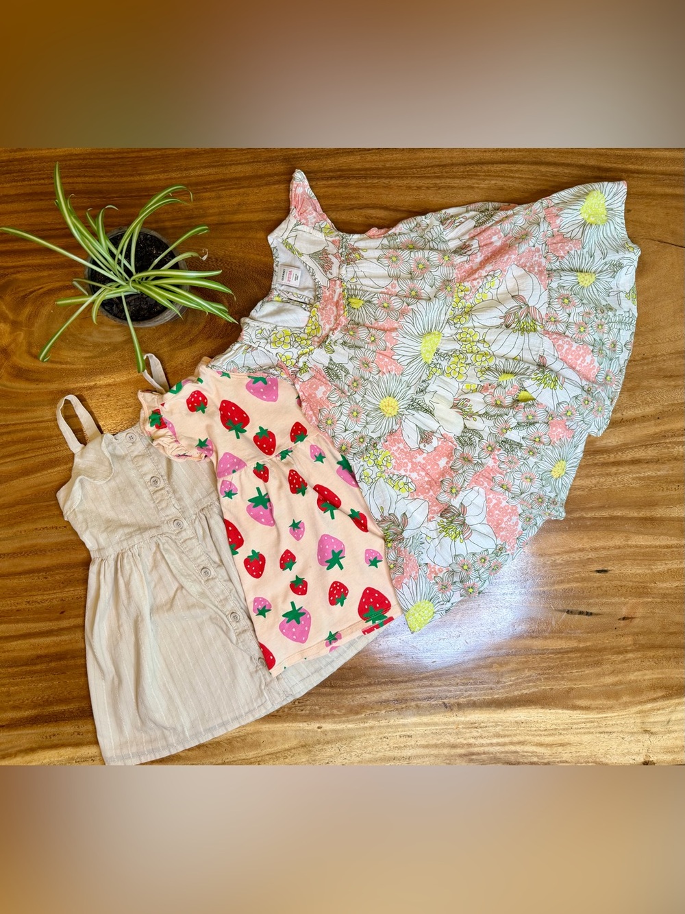 Old Navy + Gymboree | Floral Strawberry & Neutral Girls Dress Bundle - 3T